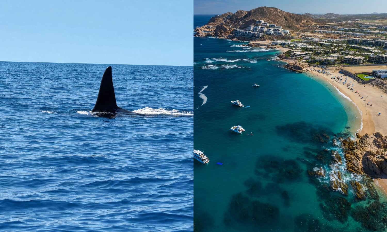 Los Cabos (2)