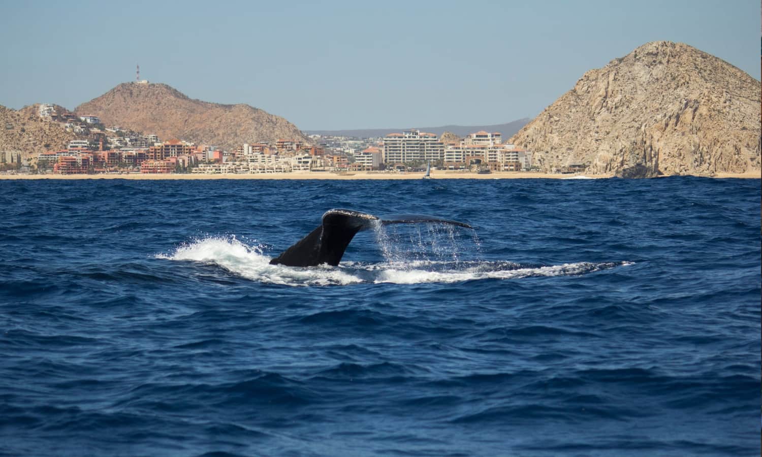Los Cabos (8)
