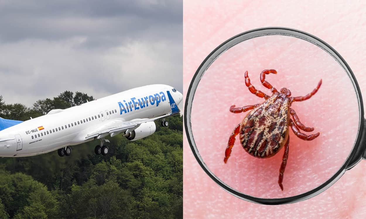 garrapata air europa