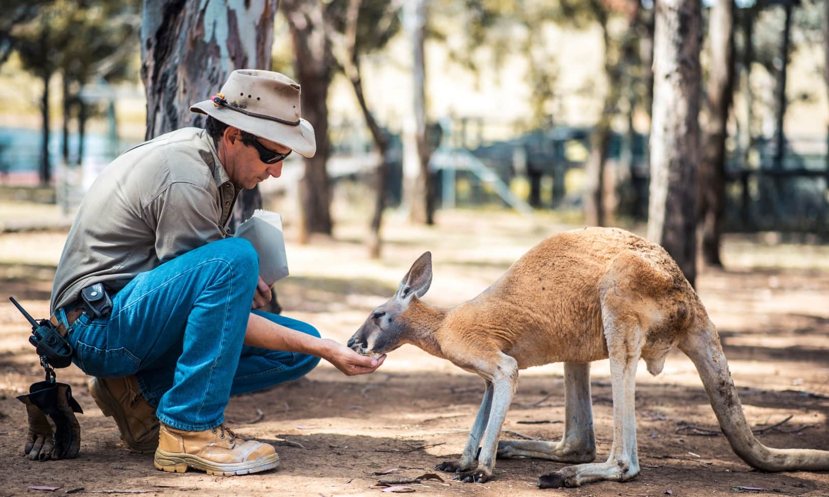 australia working holiday lotería (6)