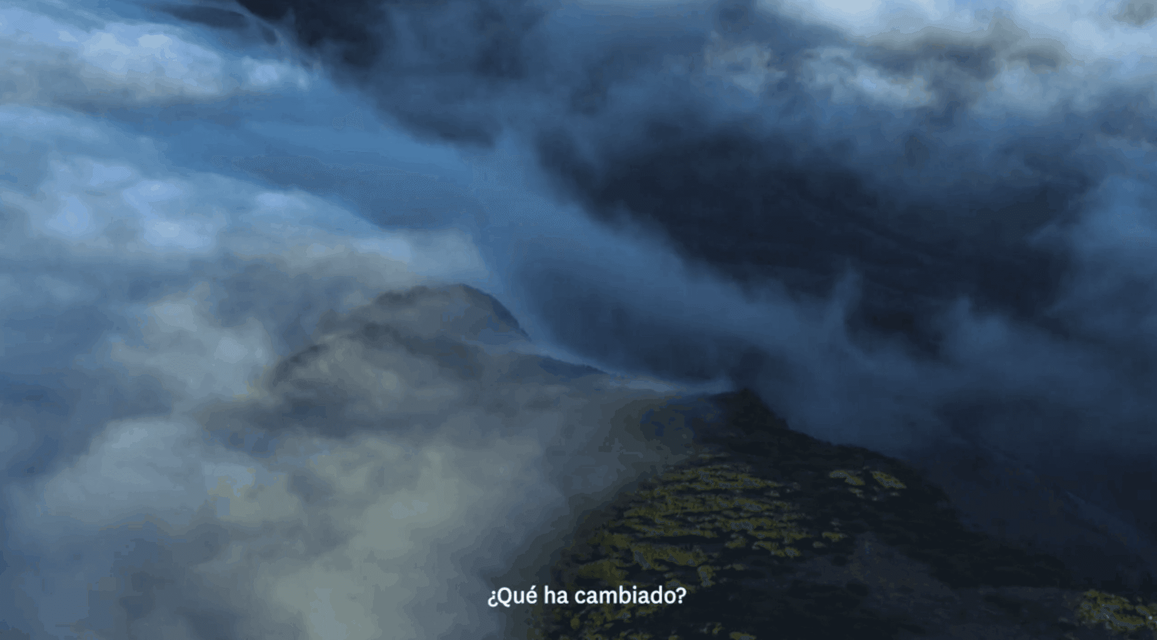 campaña Un viaje de reflexión” nueva zelanda