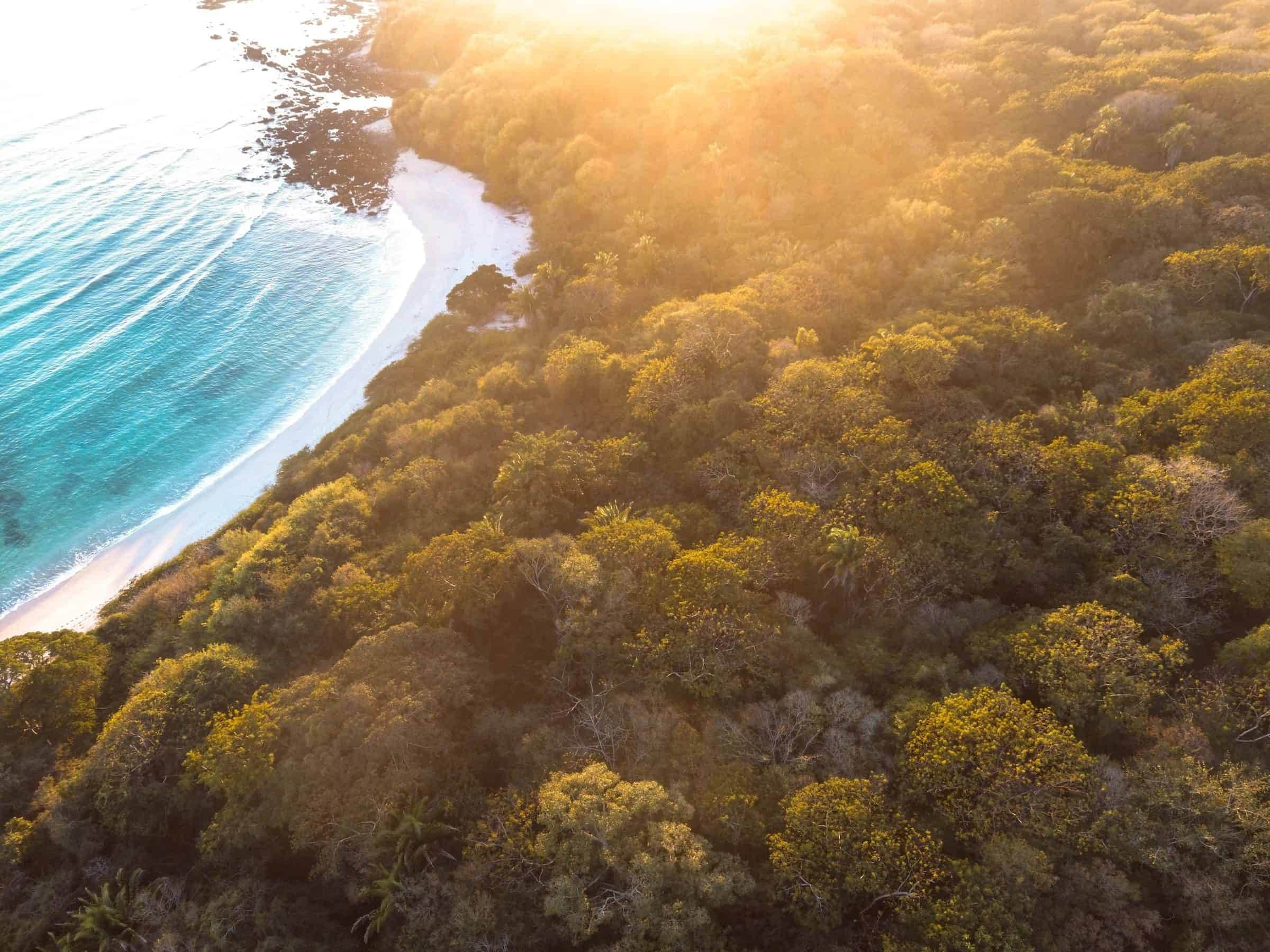 nicolas-sinanian-entUE_OIHnI-unsplash