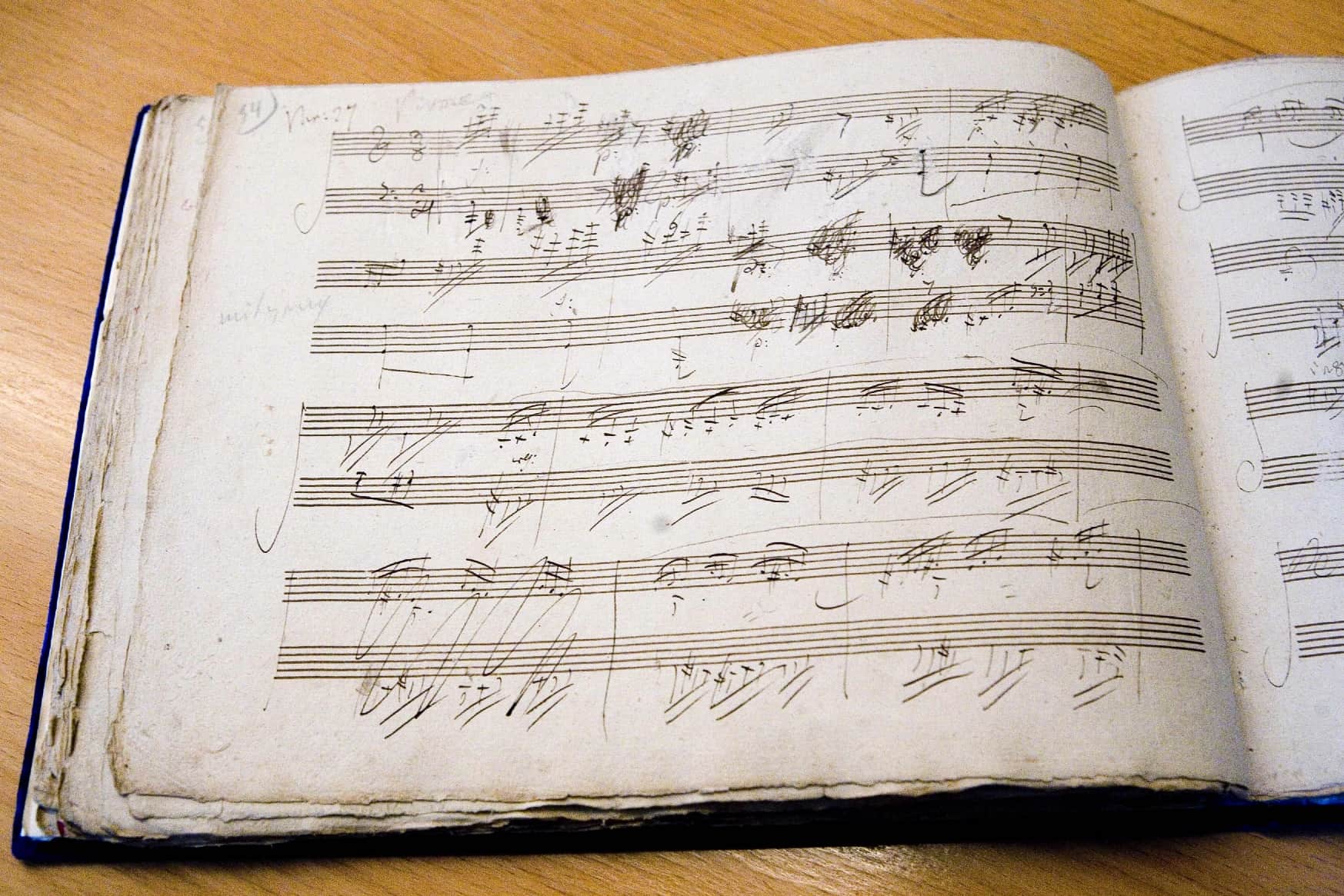 Die Diabelli-Variationen sind das letzte und größte Klavierwerk Ludwig van Beethovens. Die Original-Notenschriften konnte das Beethoven-Haus 2009 nach einer groß angelegten öffentlichen und privaten Spendenaktion erwerben.