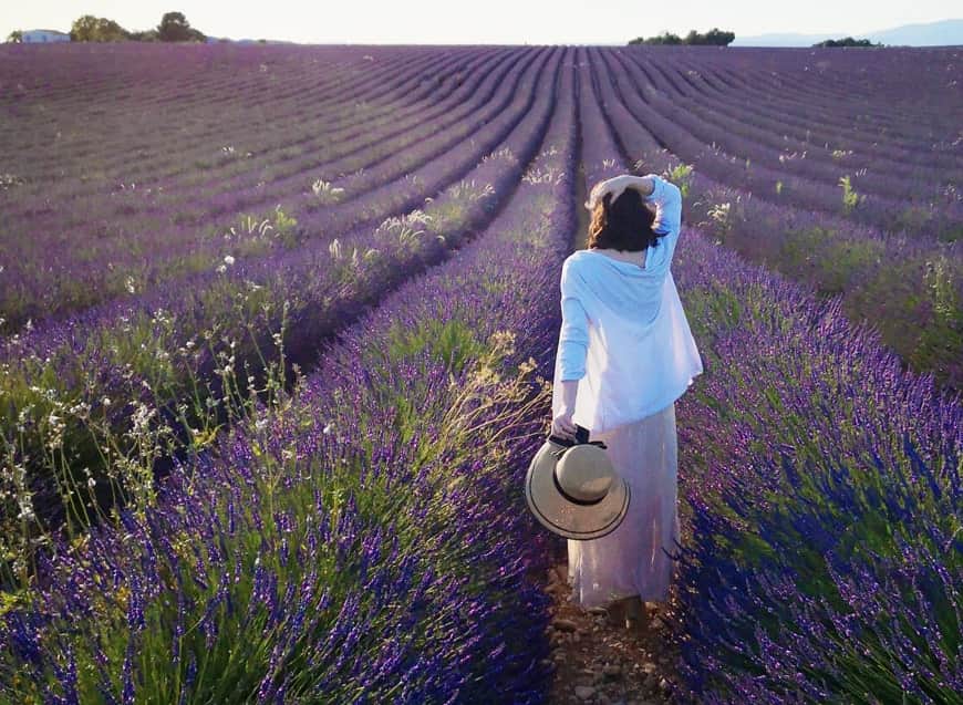 campos-de-Lavanda-de-la-Provenza-Francesa-4