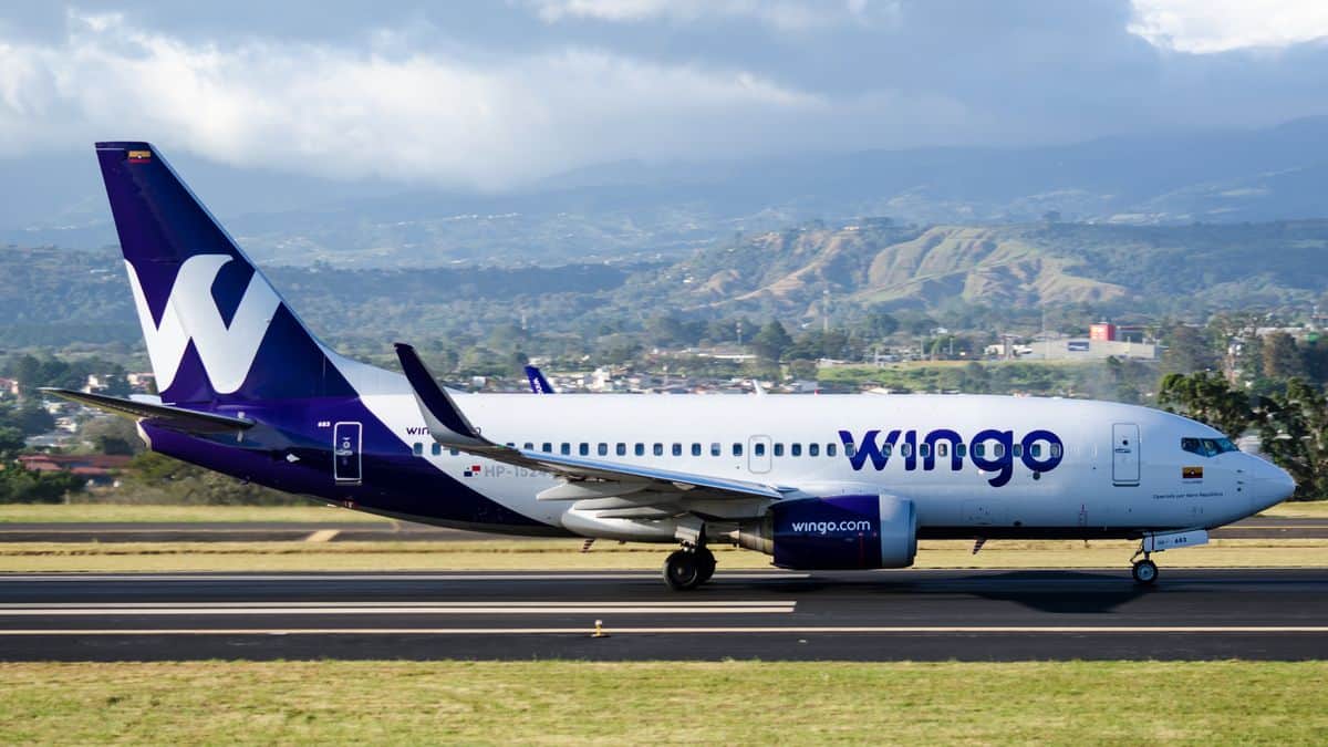 wingo-podría-volar-colombia-a-argentina-1