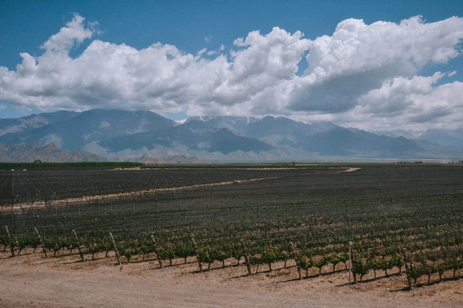 mendoza-worlds-best-vineyards-2