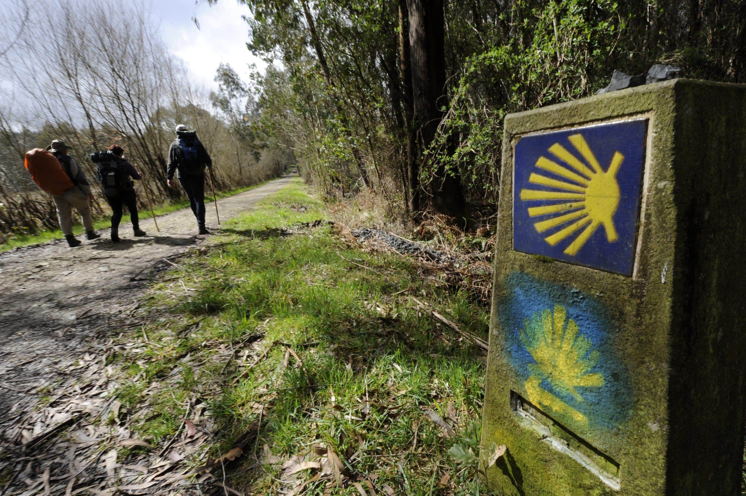 Camino-de-Santiago-en-Buenos-Aires-3