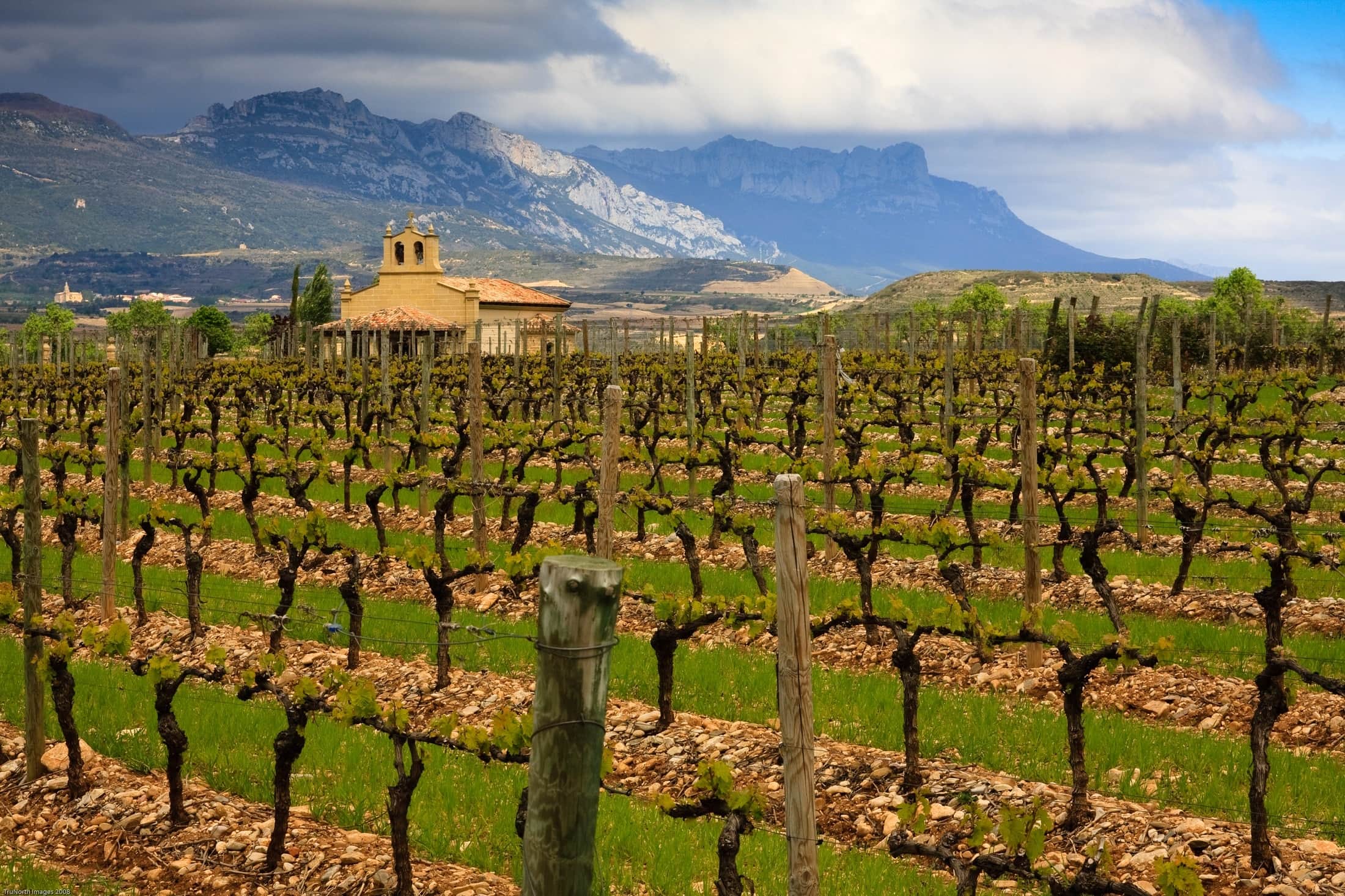 world's-best-vineyards-2023-1