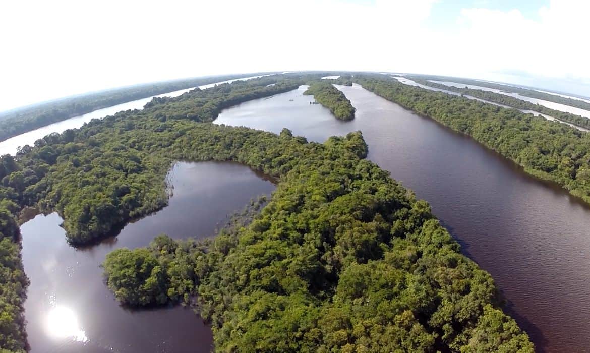 Anavilhanas: Segundo maior arquipélago de águas fluviais do mundo