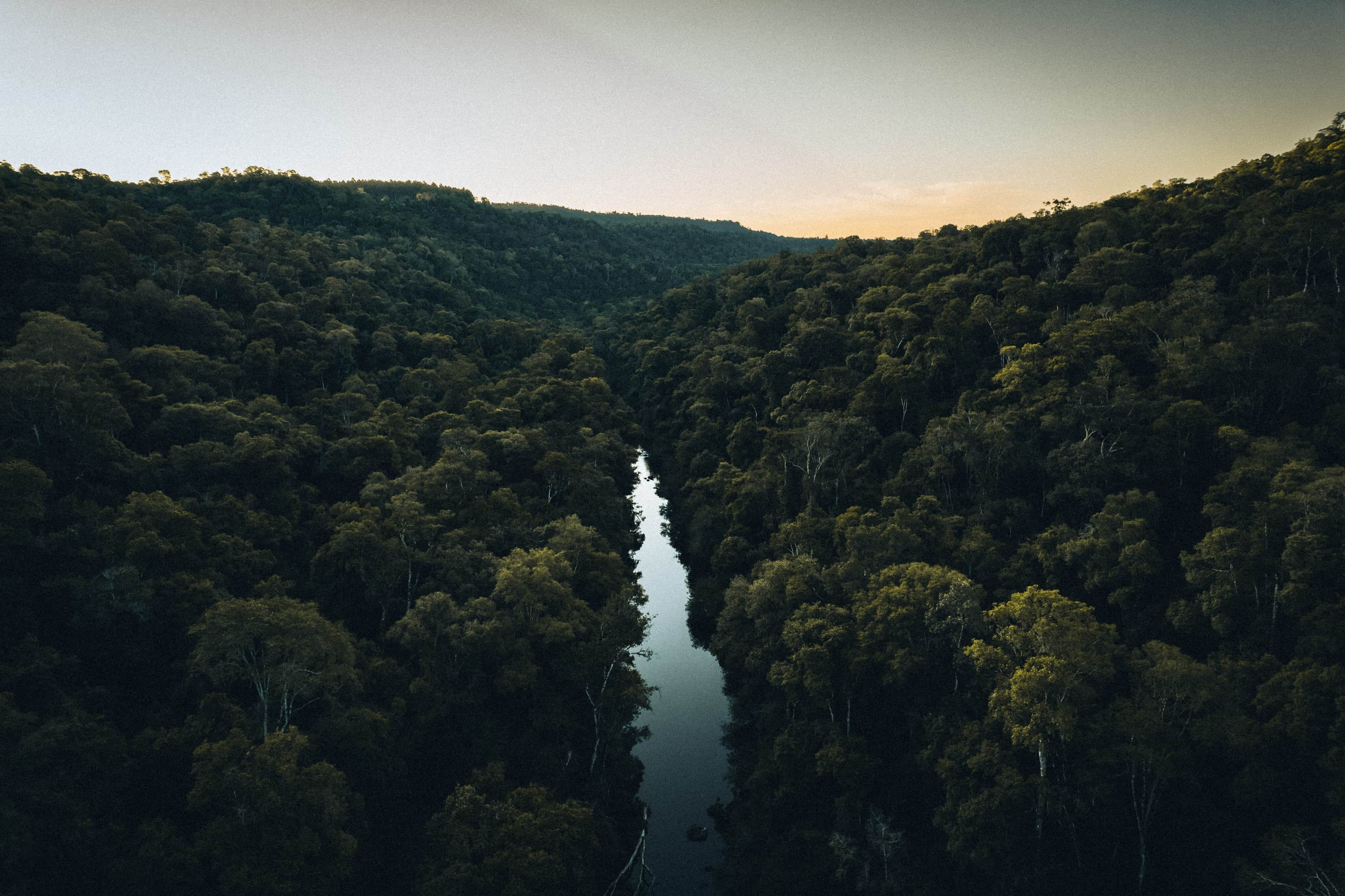 Copia de _EXP_FOTOS_DIA_2_DRONE-36
