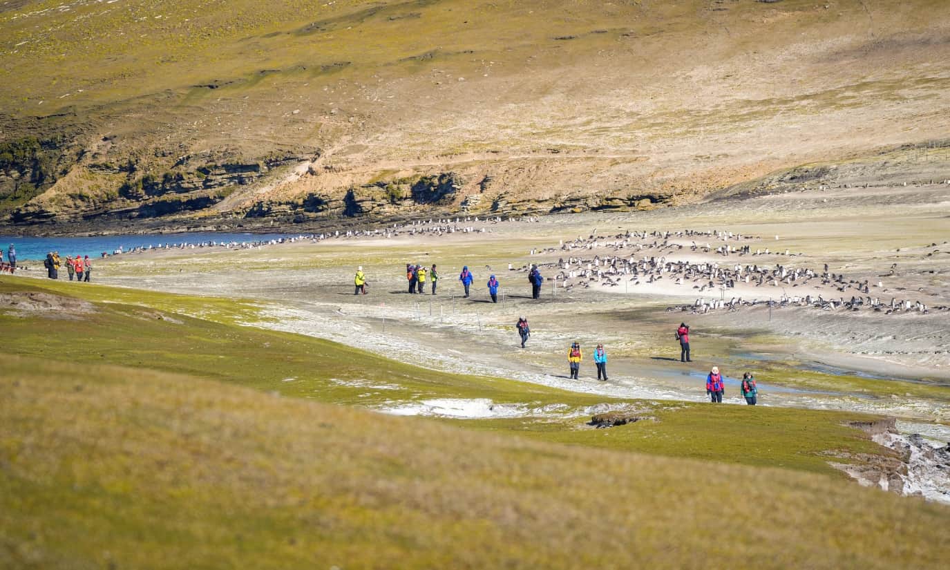 Islas Malvinas (2)