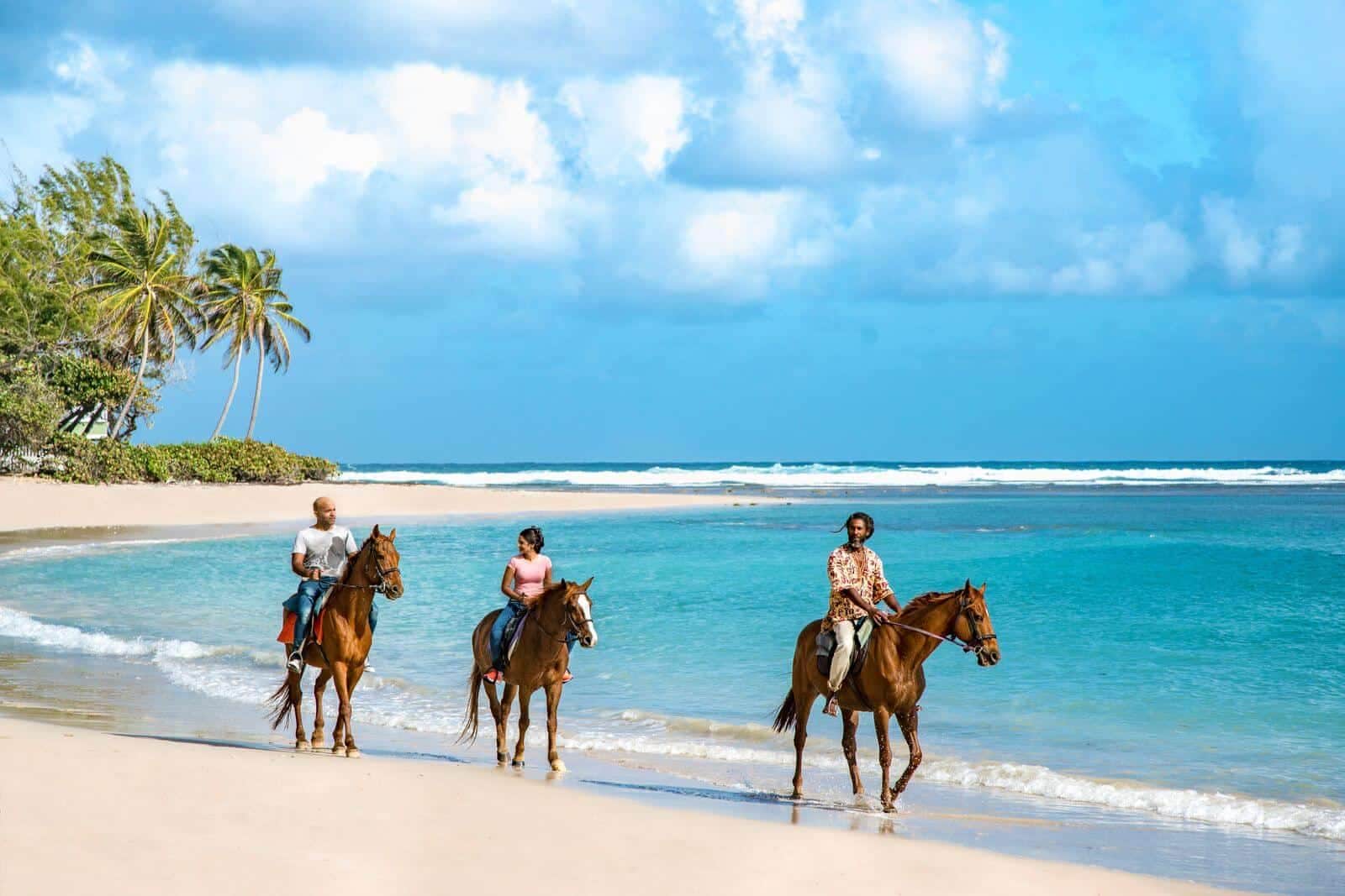 Estímulo y asistencia Cómo actúa Barbados con el sector turístico durante la pandemia de Covid-19 36