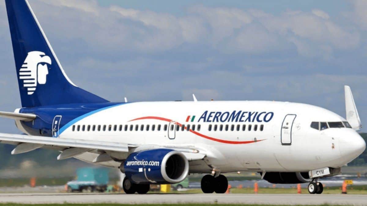 Aeroméxico se declara en contra del tráfico de vida silvestre y destaca qué acciones llevan a cabo para evitarlo-3