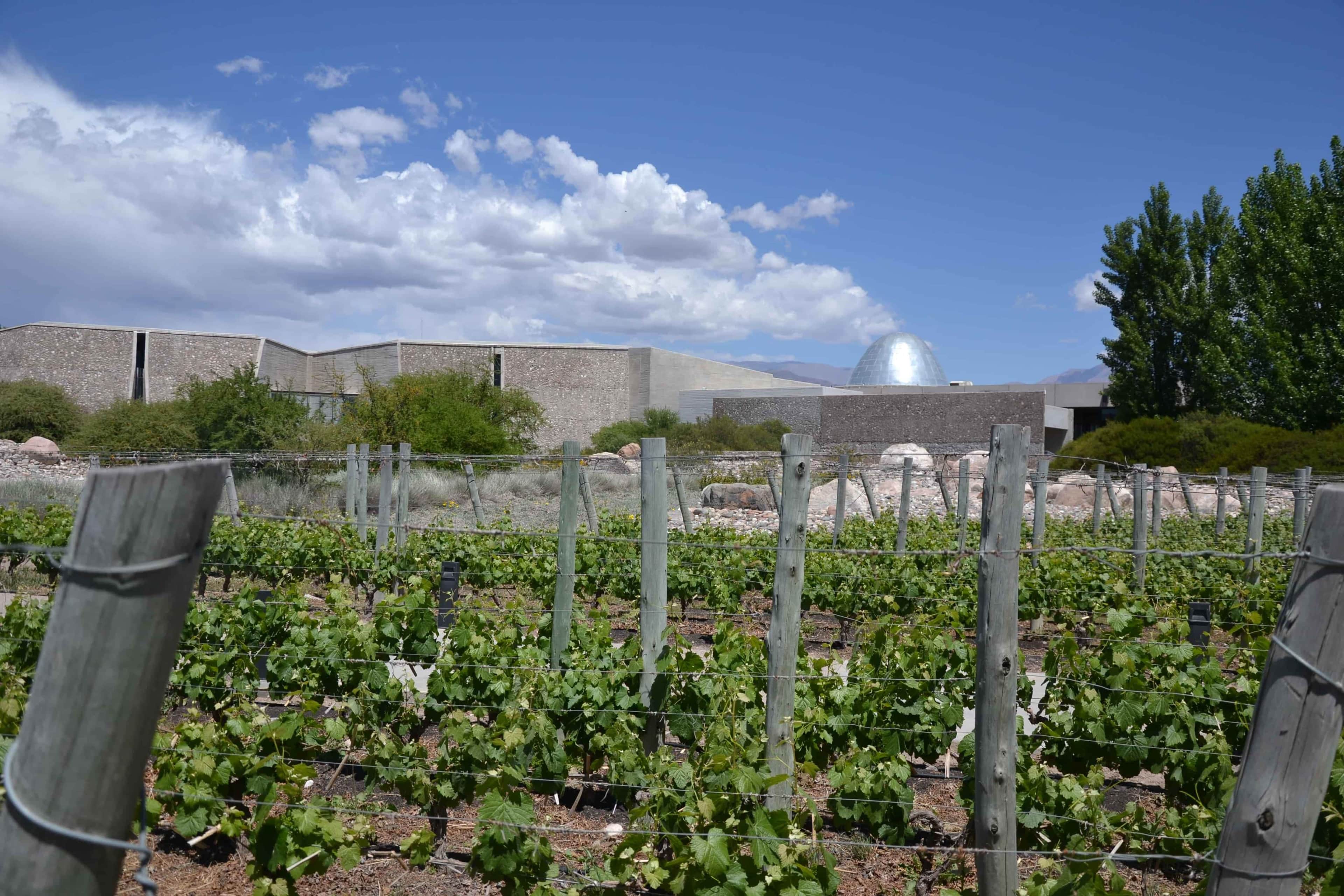 World's Best Vineyards 2022 se anunciará el 26 de octubre en Mendoza