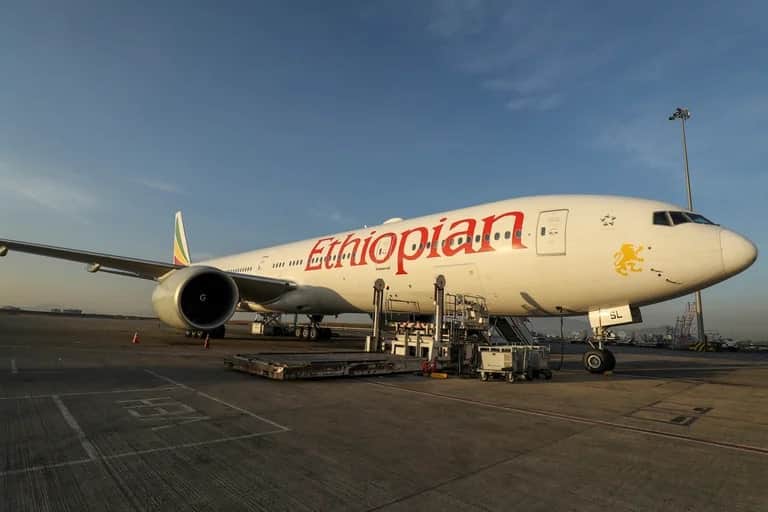 Ethiopian reduce sus vuelos a San Pablo y Buenos Aires desde el 22 de enero pasa de 7 a 6 servicios semanales-1