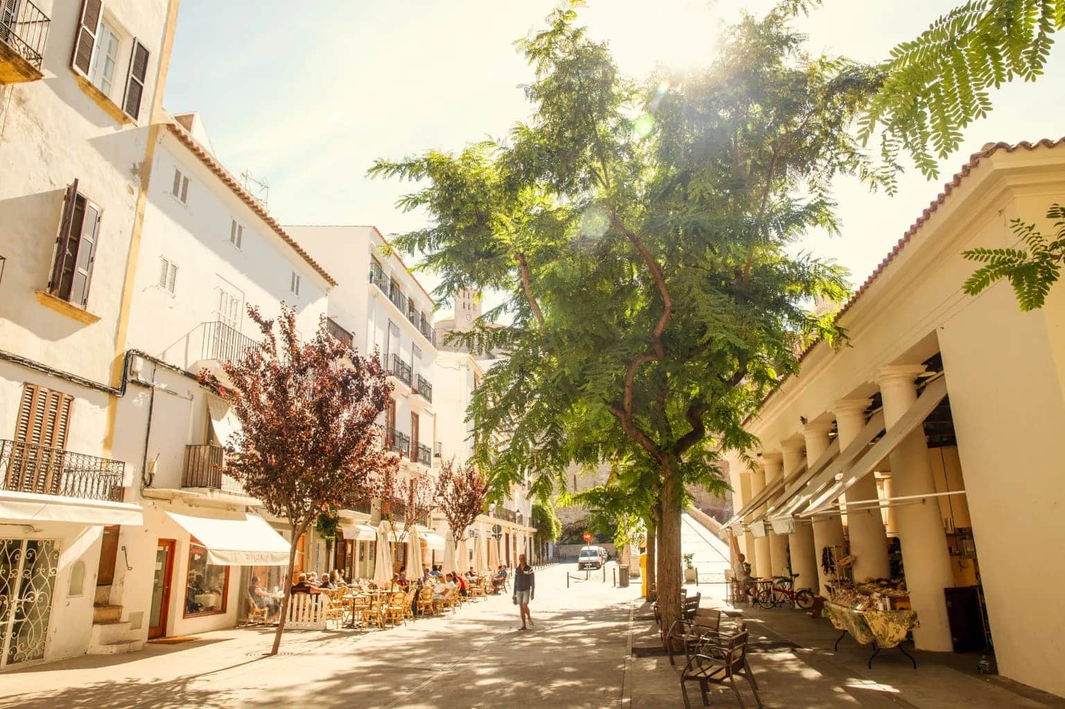 Airbnb-e-Ibiza-firman-acuerdo-para-impulsar-turismo-de-calidad-en-la-isla-1